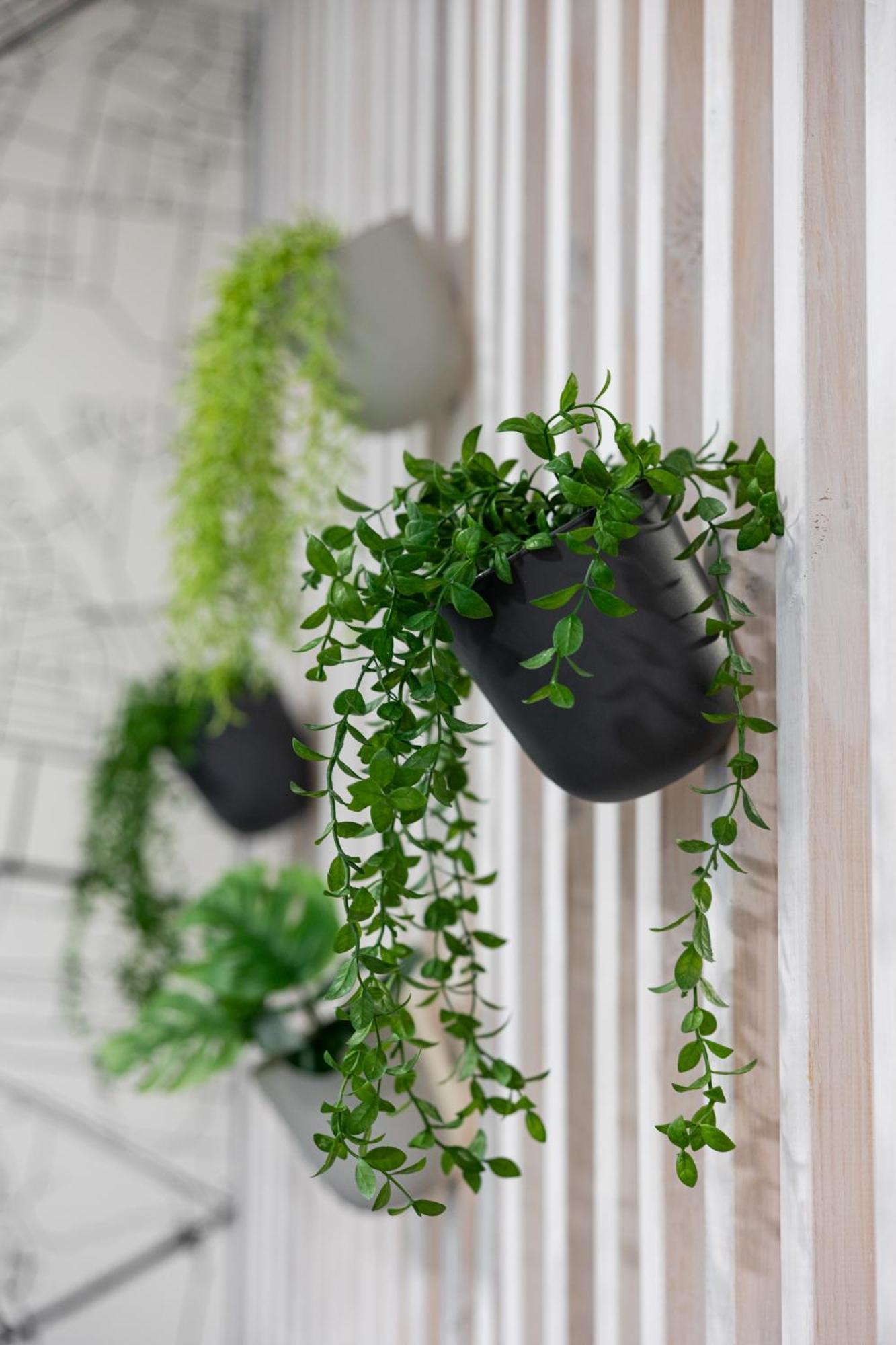 Sekwoja Rent - Malmeda 15 Appartement Białystok Buitenkant foto